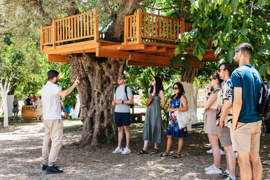 From Chania: Wine and Olive Oil Tasting Tour with Snacks - Quick hits I think you’ll care about