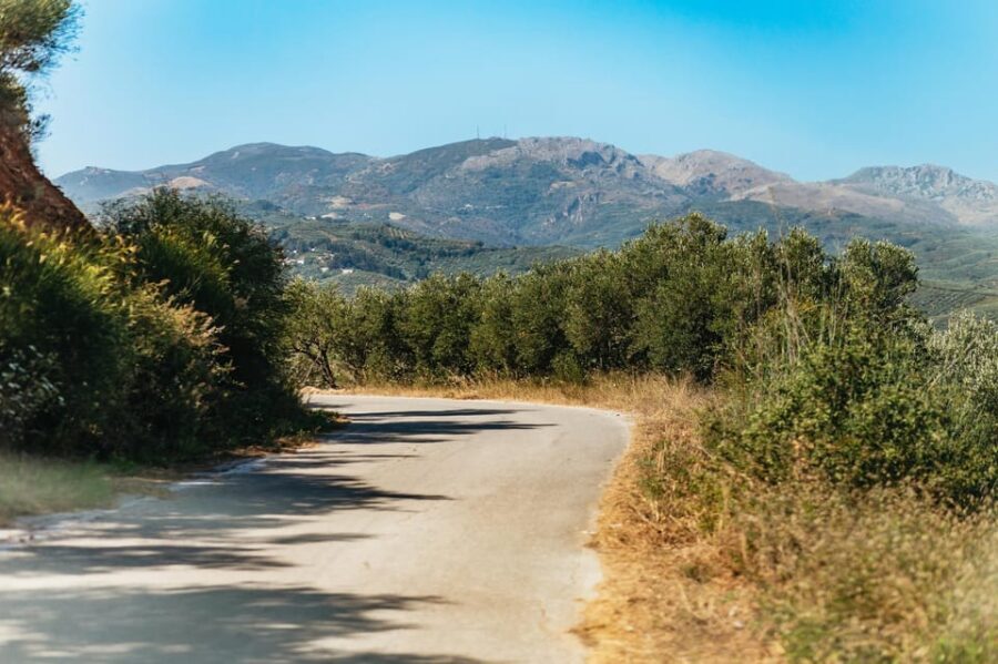 From Chania: Wine and Olive Oil Tasting Tour with Snacks - Price and value: is $141 for 6 hours fair?