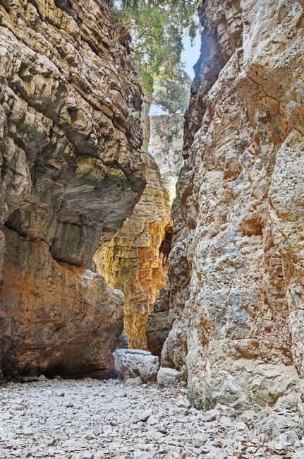 From Chania:Imbros Gorge Tour with Professional Hiking Guide - Key things I’d prioritize before you go