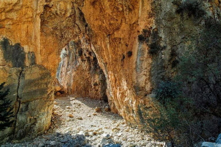 From Chania:Imbros Gorge Tour with Professional Hiking Guide - Pickup and coach ride: the comfort part you’ll actually notice