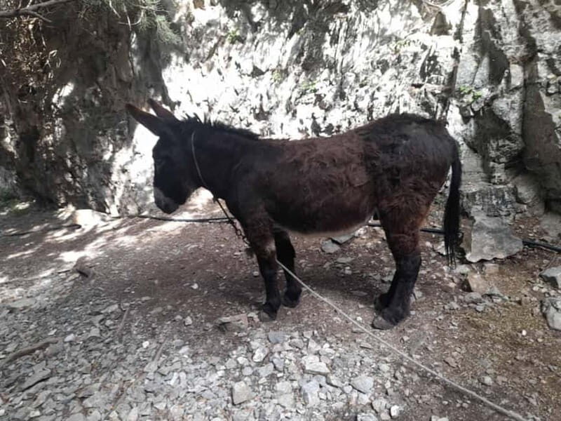 From Georgioupoli: Easy Hiking Day-Trip to Imbros Gorge - Near the end: Komitades Village and the bus wait