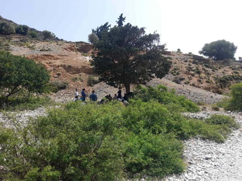 From Georgioupoli: Easy Hiking Day-Trip to Imbros Gorge - Francokastello beach break: Castle-of-the-Venetians views plus swim time