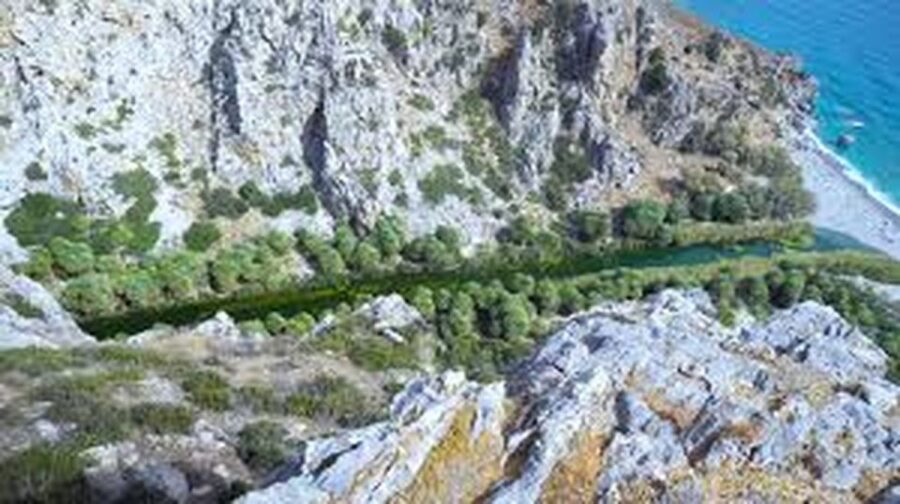 From Herakleion: Day Trip to Preveli Palm River Beach - So, Should You Book This Tour?