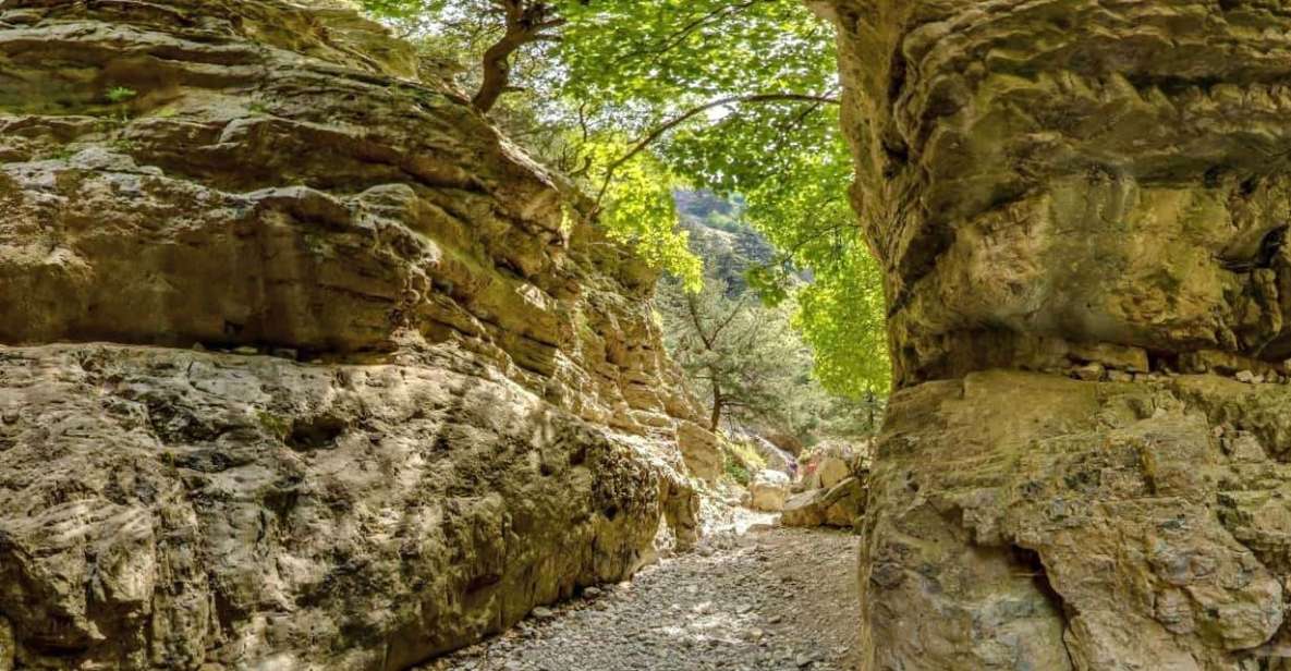 From Heraklion: Imbros Gorge and Libyan Sea Guided Day Trip - Swimming in the Libyan Sea