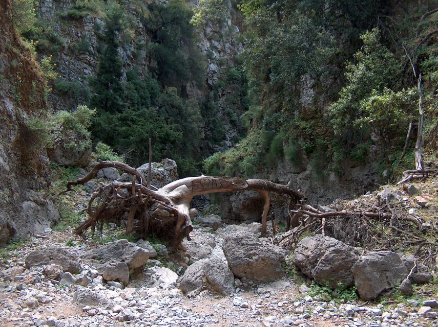 From Heraklion: Imbros Gorge and Libyan Sea Guided Day Trip - Who should book this Crete day trip