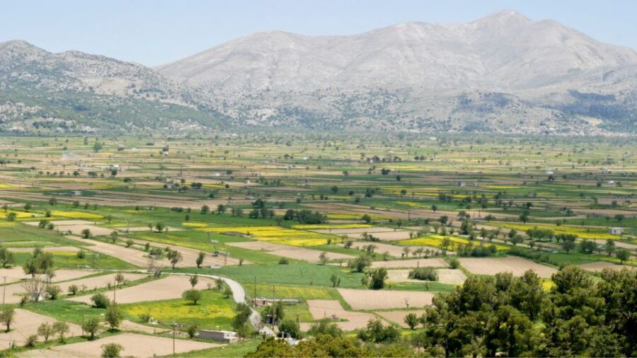 From Heraklion: Lasithi Plateau, Tzermiado Village, Ceramics - Price and value: what you get for about $41