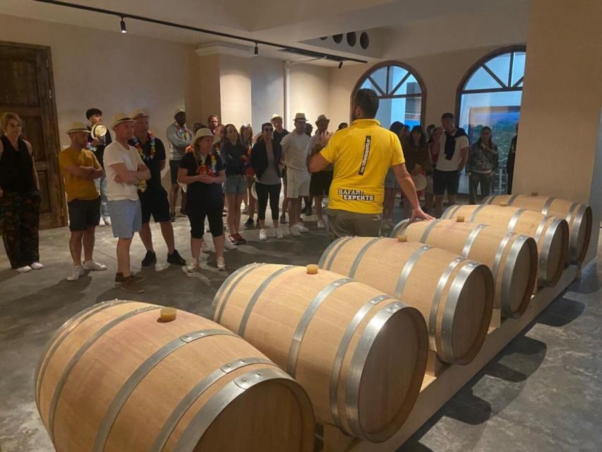 From Heraklion: Matala Beach - Caves & winery Full Day tour - Who this day trip fits best (and who should pass)