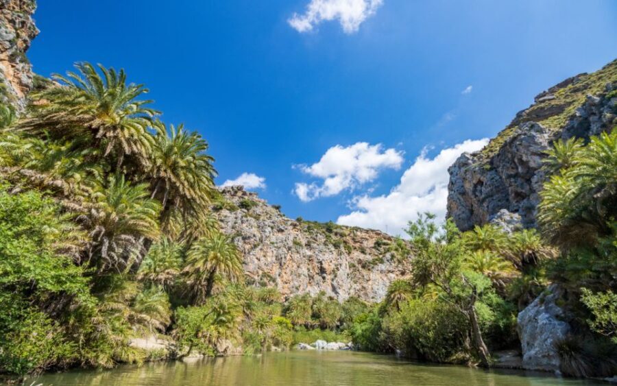 From Heraklion: Preveli Tropical Beach & Palm Forest Hike - Why Preveli’s river-meets-sea palm forest feels like Crete’s secret trick