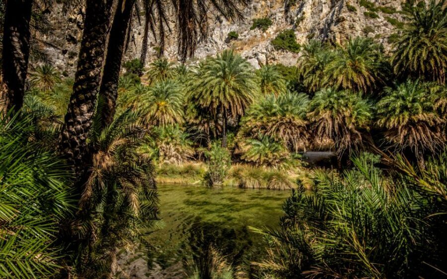 From Heraklion: Preveli Tropical Beach & Palm Forest Hike - How the schedule fits together (and how to avoid feeling rushed)