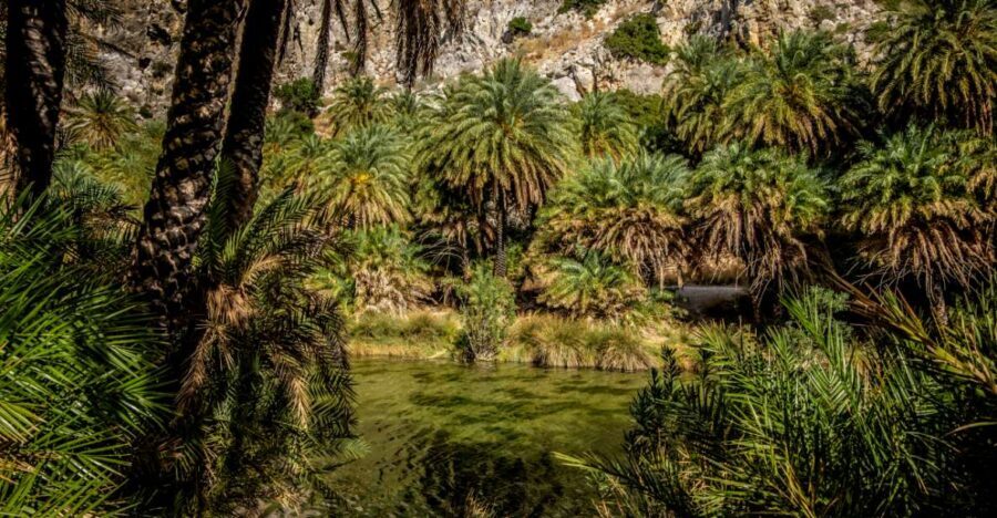 From Heraklion: Preveli Tropical Beach & Palm Forest Hike - Price and value: is $54 for Preveli a fair deal?