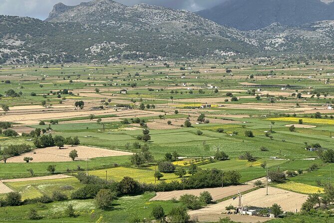 From Heraklion Private Day Tour Knossos-Lassithi Plateau - The guides: why Angie and Aggeliki earn top marks