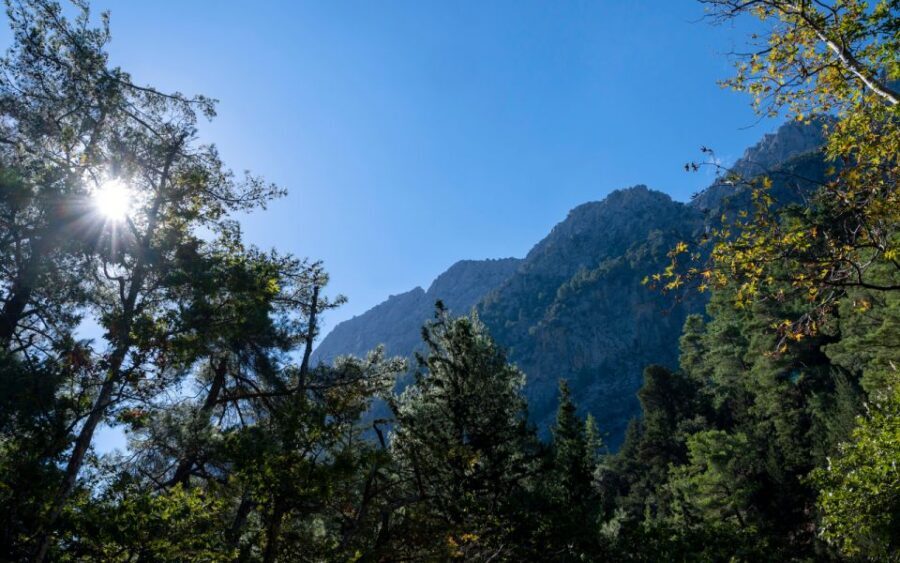 From Heraklion: Samaria Gorge Full-Day Guided Hiking Tour - Walking Samaria Gorge: 16 km, big downhill early, and real nature