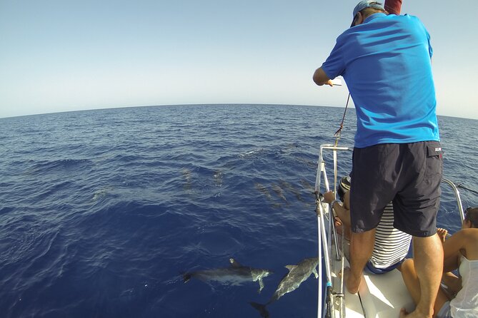 From Heraklion : Small Group 5,5 hours Sailing Trip to Dia Island - What the crew service adds