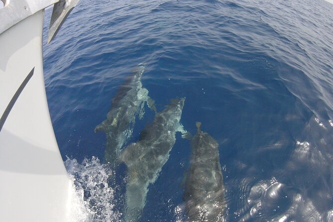 From Heraklion : Small Group 5,5 hours Sailing Trip to Dia Island - Who will enjoy this trip most