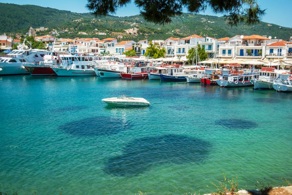 From Katerini: Skiathos Island Day Tour with Swimming - Key points to know before booking