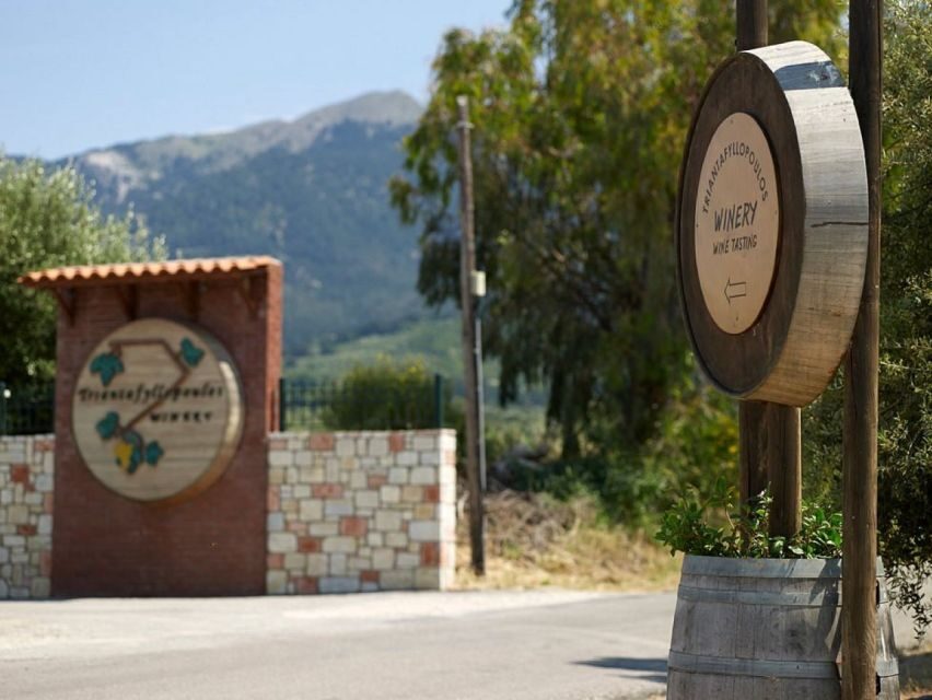 From Kos: Tour of 2 Wineries with Wine Tasting & Small Bites - Who should book this Kos wine tasting tour—and who should skip it