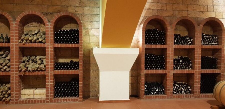 From Kos: Tour of 2 Wineries with Wine Tasting & Small Bites - South-coast views and the water-side feeling during your Kos afternoon