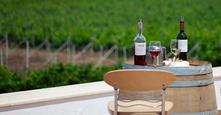 From Kos: Tour of 2 Wineries with Wine Tasting & Small Bites - Petra Marinou: Organic vineyards and a family story with modern tools