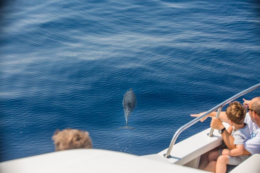 From Lefkimmi: Paxos, Antipaxos & Blue Caves Speedboat Tour - Lefkimmi to Paxos in one day: what this trip feels like