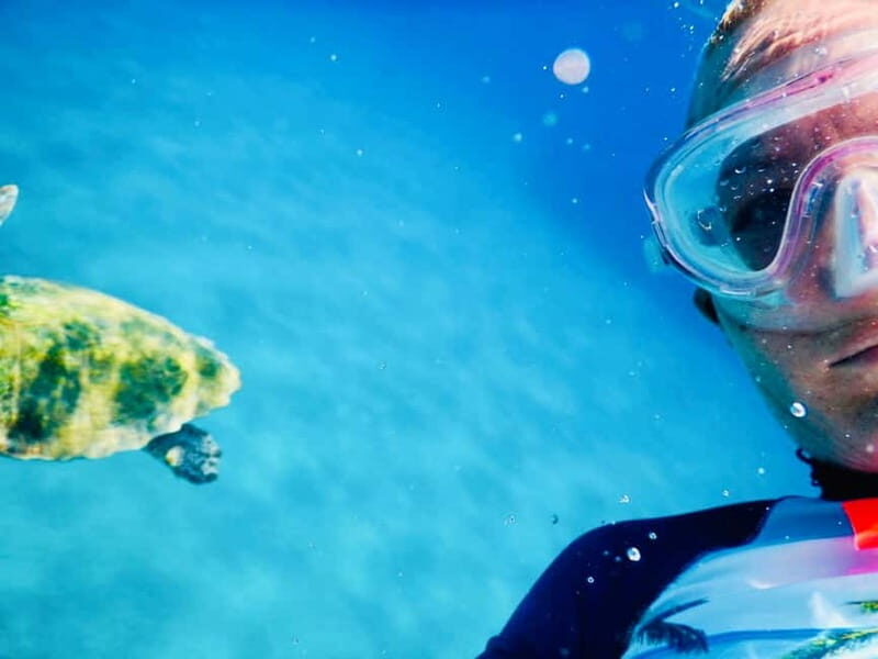 From Milopotas: Ios Island Scenic Snorkeling Cruise - Optional cliff jumping: fun when conditions allow