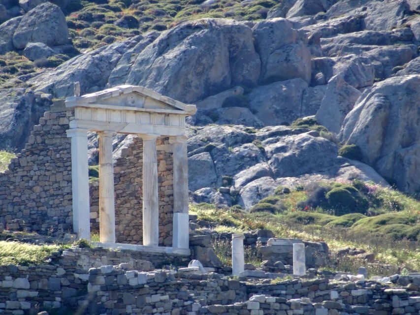 From Mykonos: Ancient Delos Tour - Guided Delos Walk: Agora, Sacred Way, Temple of Apollo, and the Terrace of Lions