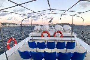 From Mykonos Cruise Port: Delos Guided Tour - Price and Value: $99 Plus Entrance Fees That Add Up