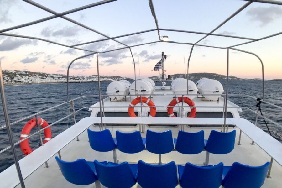 From Mykonos Cruise Port: Delos Guided Tour - Price and Value: $99 Plus Entrance Fees That Add Up