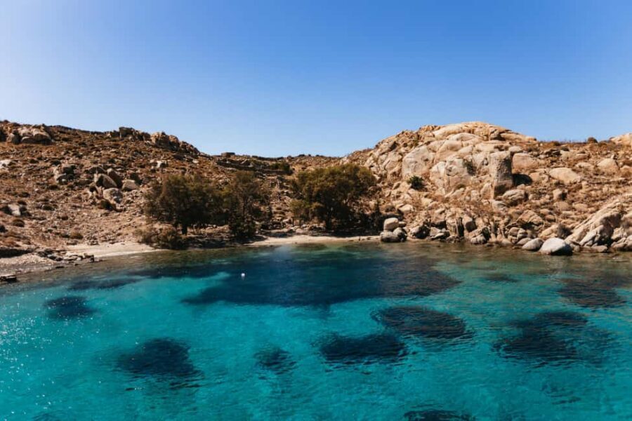 From Mykonos: Cruise to Delos and Rhenia with Lunch - Should you book this Delos and Rhenia cruise?