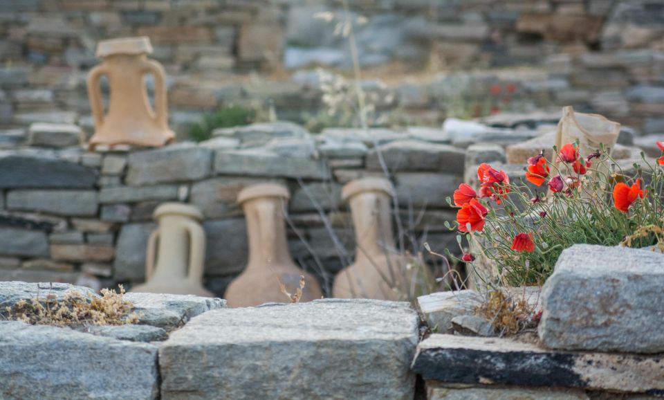From Naxos: Delos and Mykonos Day Trip with Licensed Guide - Walking Delos in the Greek sun