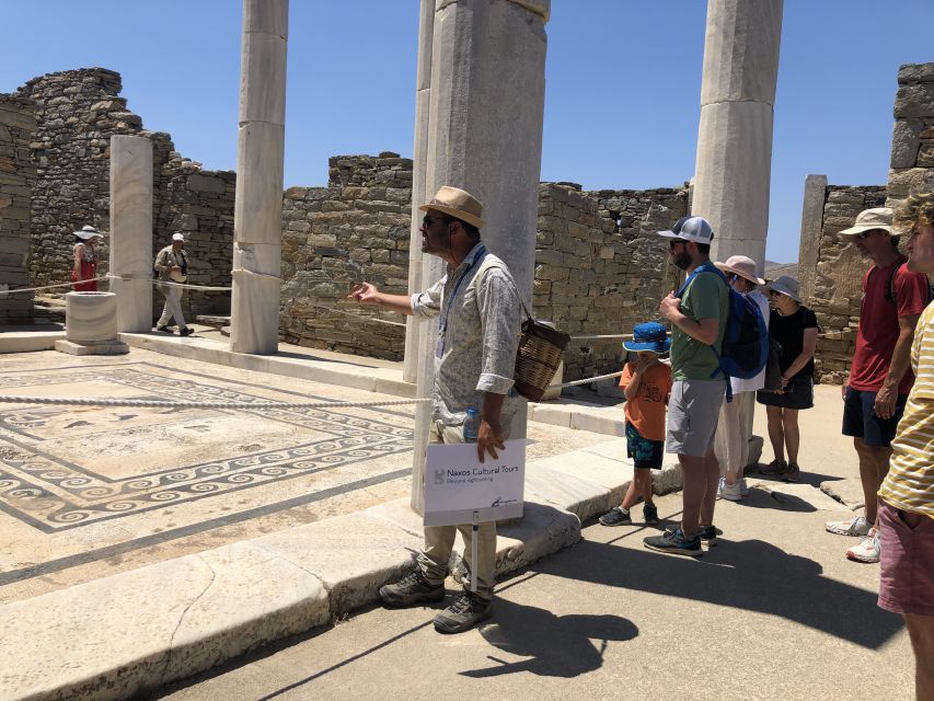 From Naxos: Delos and Mykonos Day Trip with Licensed Guide - Who will enjoy this Delos and Mykonos day trip