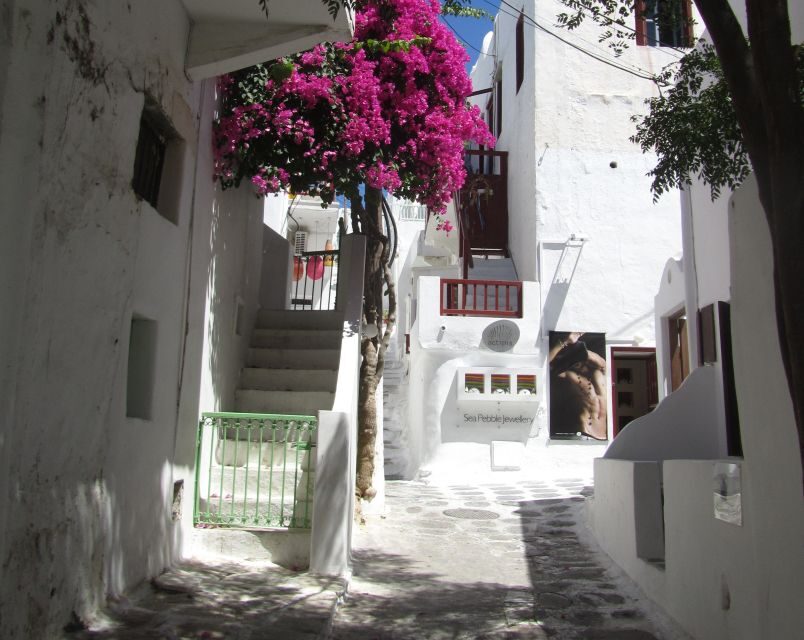 From Naxos: Delos and Mykonos Full-Day Boat Trip - Key things to know before you go
