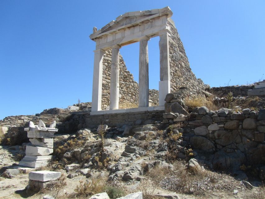 From Naxos: Delos and Mykonos Full-Day Boat Trip - Free time on Delos vs adding a guide on-site