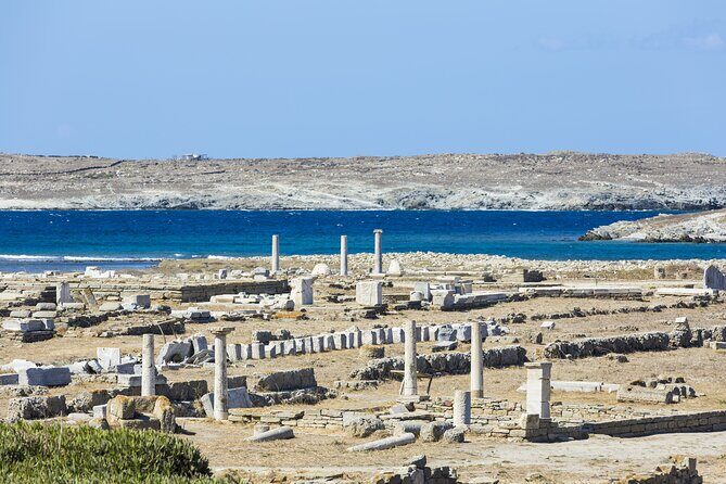 From Naxos/Paros: Delos & Mykonos Day Cruise with Expert Guide - Delos: making the ruins feel like a story