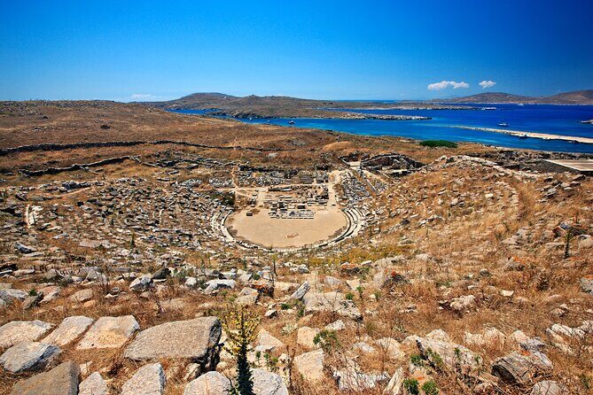 From Naxos/Paros: Delos & Mykonos Day Cruise with Expert Guide - Price and what you’re really paying for