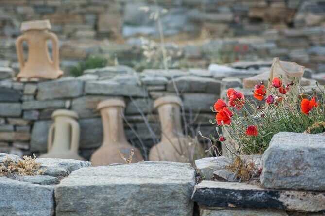 From Naxos/Paros: Delos & Mykonos Day Cruise with Expert Guide - What to pack so the day feels easy