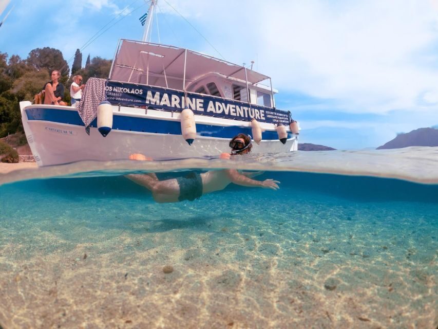 From Nidri: Marine Wildlife Cruise with Lunch and Swim Stops - Key things I’d plan around