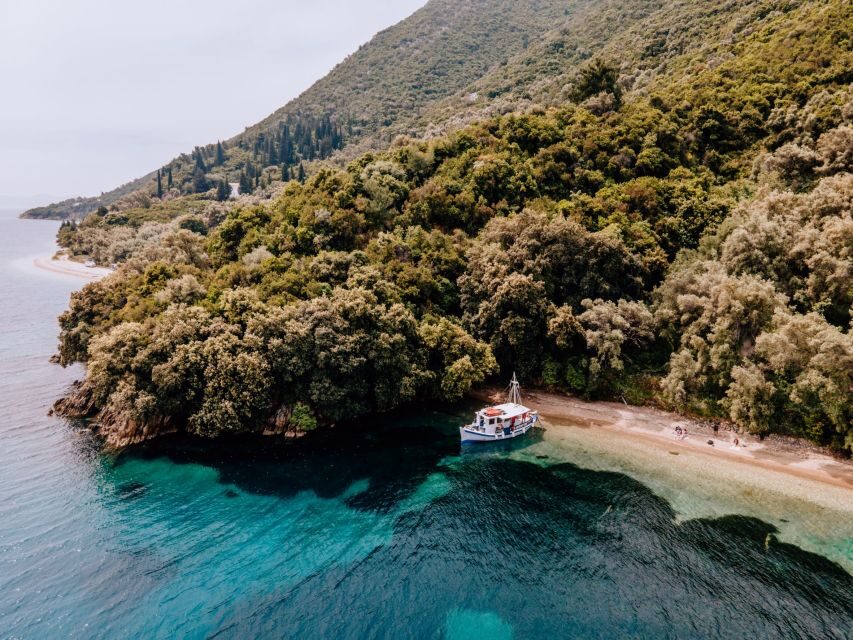 From Nidri: Marine Wildlife Cruise with Lunch and Swim Stops - Price and value: why $82 can make sense here