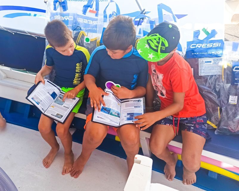 From Nidri: Marine Wildlife Cruise with Lunch and Swim Stops - BBQ lunch on board: more than fuel, it’s part of the rhythm