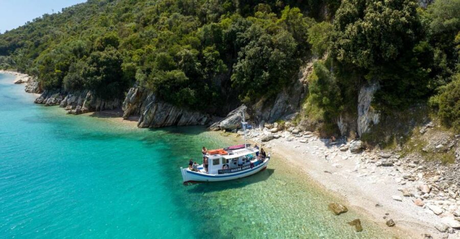 From Nidri: Marine Wildlife Cruise with Lunch and Swim Stops - What “on-board species guides” actually do for your experience