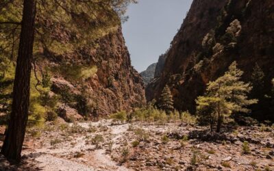 From Panormo or Lavris: Samaria Gorge Hike with Guide - Arriving at Agia Roumeli after the hike