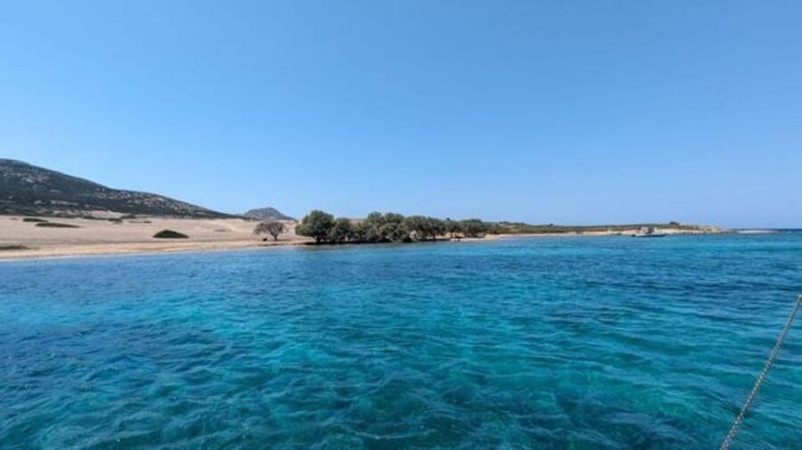 From Paros : Antiparos and Despotiko Full Day Cruise - Parian lunch on Naousa: Food, wine, and real island flavor