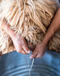 From Rethymno: Arkadi, Margarites, Sfendoni Cave & Axos Tour - Margarites Pottery Workshop: you’ll make something, not just watch it