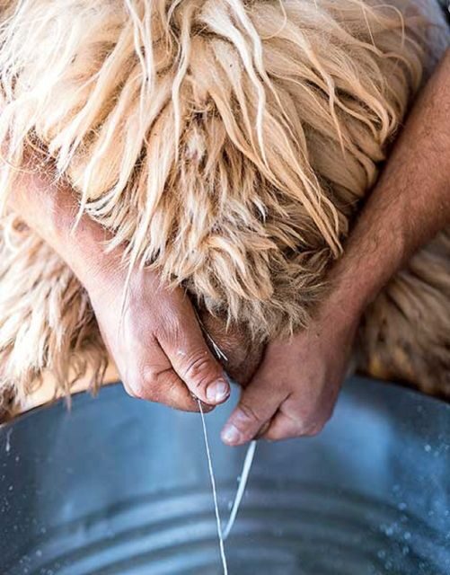 From Rethymno: Arkadi, Margarites, Sfendoni Cave & Axos Tour - Margarites Pottery Workshop: you’ll make something, not just watch it