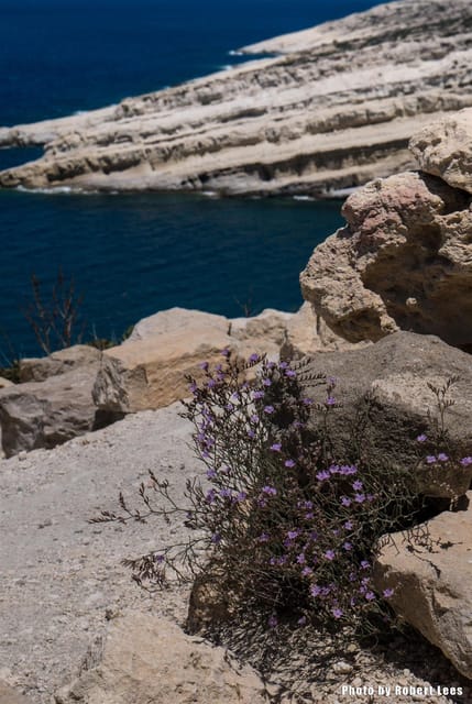 From Rethymno: Day trip to MATALA - AG.GALINI - SPILI - Three hours among Matala’s cliff caves