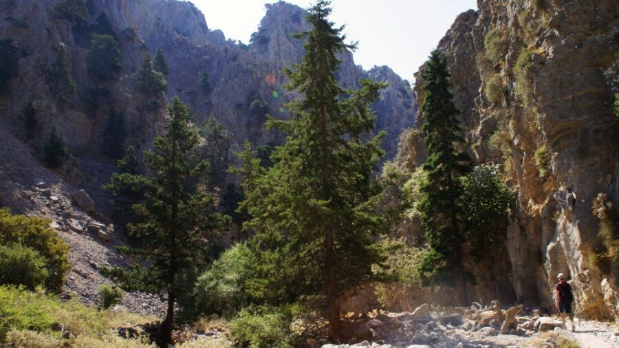 From Rethymno: Imbros Gorge & Libyan Guided Sea Tour - Who This Tour Suits Best (And Who Should Skip It)