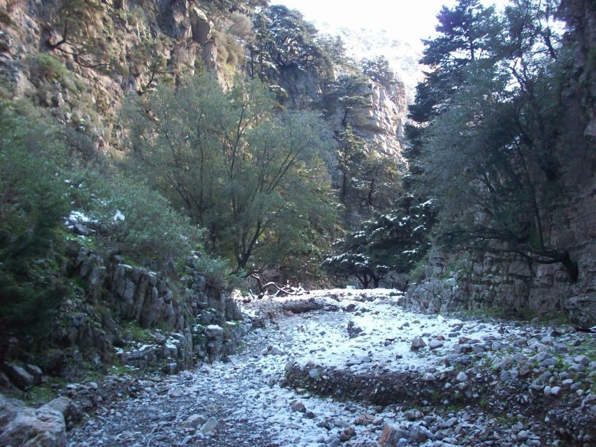 From Rethymno: Imbros Gorge & Libyan Guided Sea Tour - Rethymno Pickup and the Morning Drive Into the White Mountains