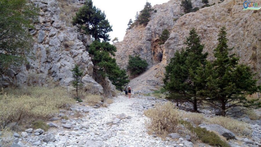 From Rethymno: Imbros Gorge & Libyan Guided Sea Tour - Komitades Village to Chora Sfakion: Lunch, Views, and Time Limits