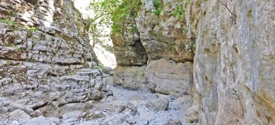 From Rethymno: Imbros Gorge & Libyan Guided Sea Tour - The Guide Makes the Day: Clarity, Languages, and a Friendly Pace