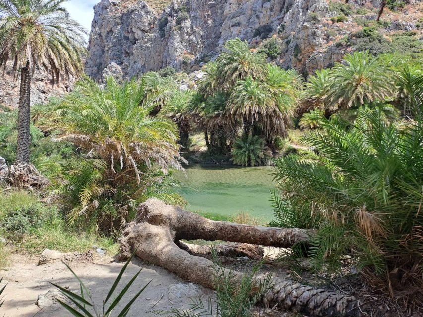 From Rethymno: Kourtaliotiko, Preveli Palm Beach, & Damnoni - Should you book this day trip from Rethymno?