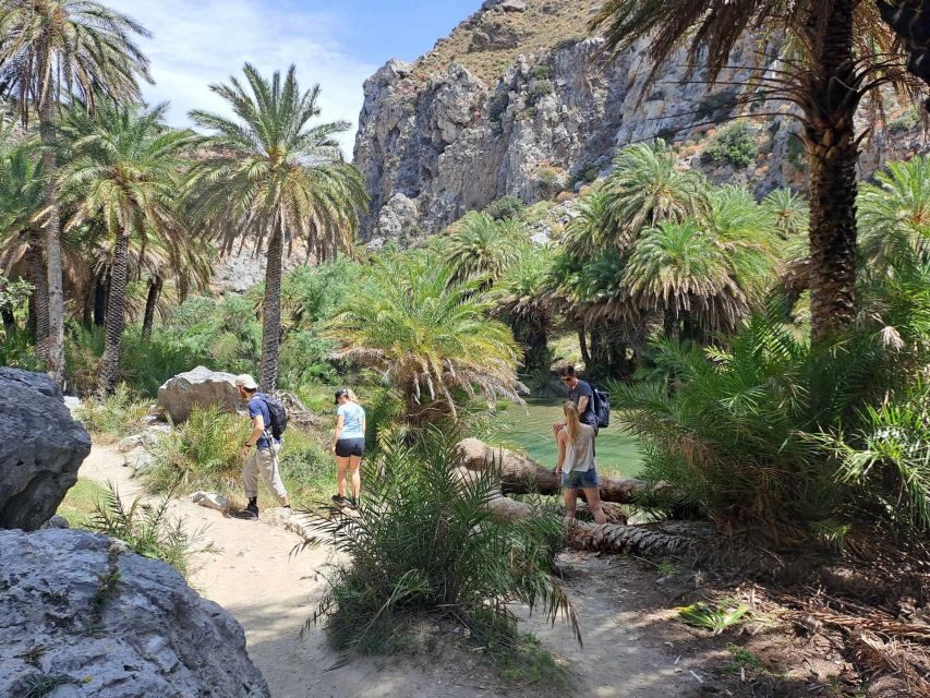 From Rethymno: Kourtaliotiko, Preveli Palm Beach, & Damnoni - Price and value: how $29 turns into a full south-Crete day